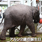 アルン2歳の誕生日