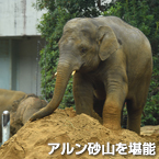 アルン砂山を堪能