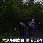 ホタル観察会 in 2024