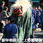 新年を迎えた上野動物園