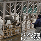アジアゾウのトレーニング