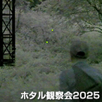 ホタル観察会2025
