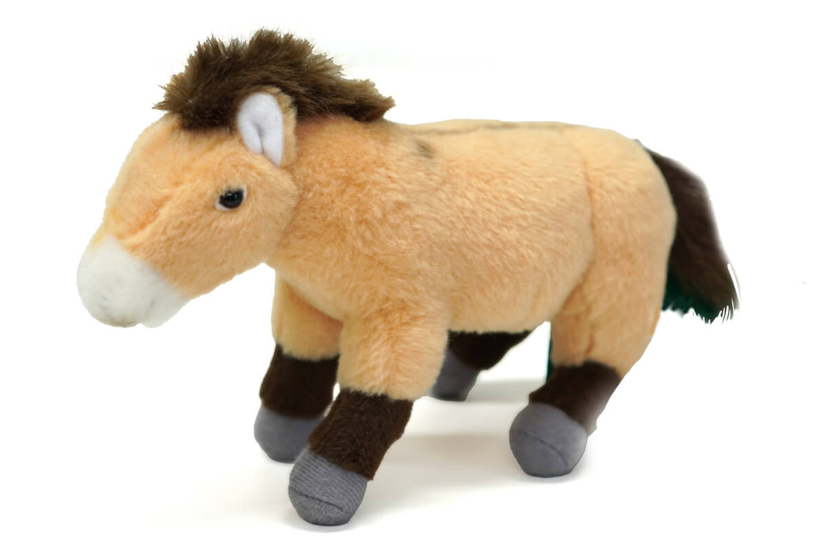 飼育展示係の監修のぬいぐるみ