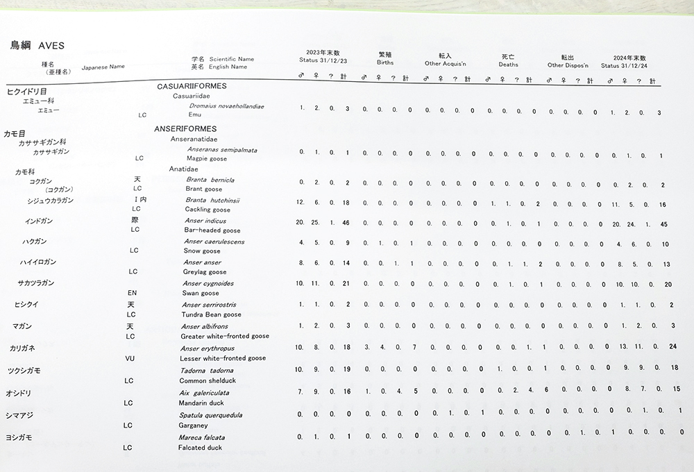 2024年末の「ヒクイドリ目・カモ目」の記録