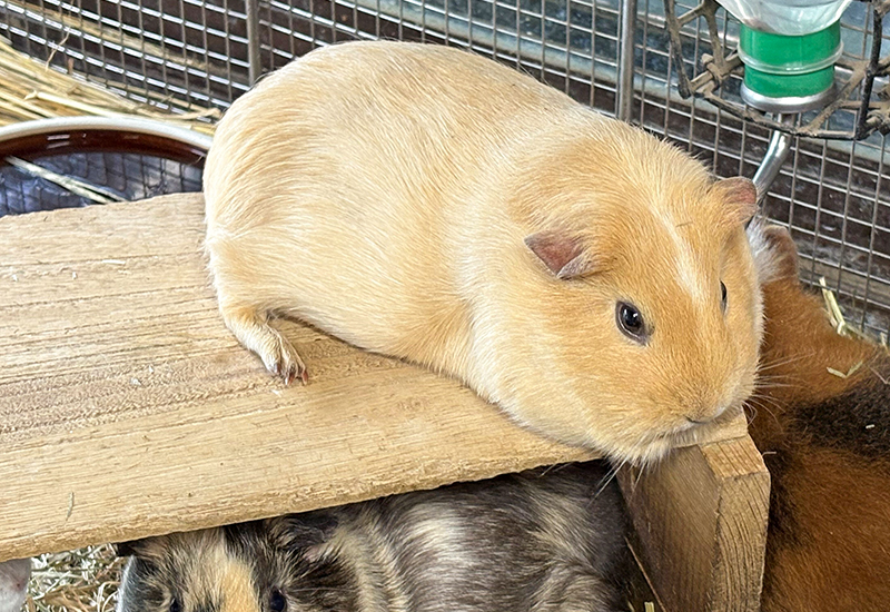 端に座っている