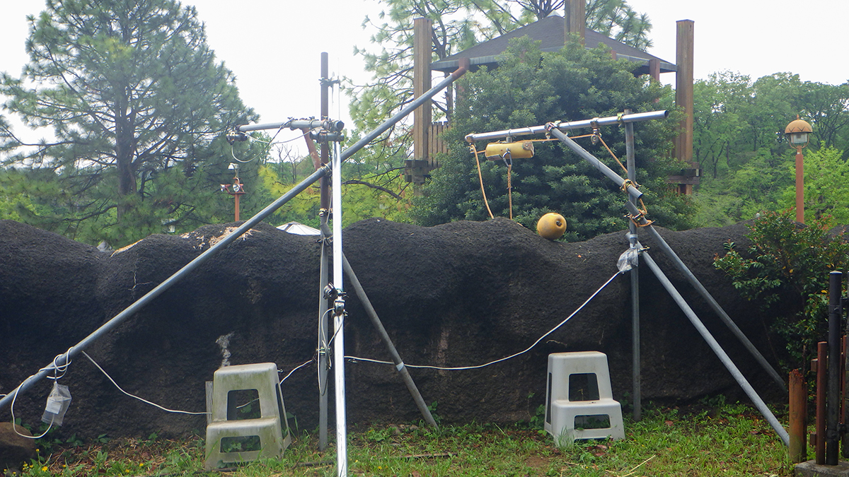 電磁石を使用した自動給餌器
