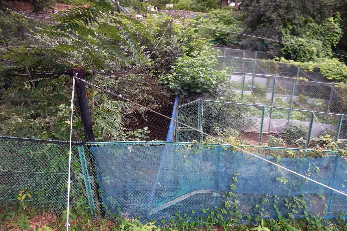 左が放飼場、右が繁殖用の部屋