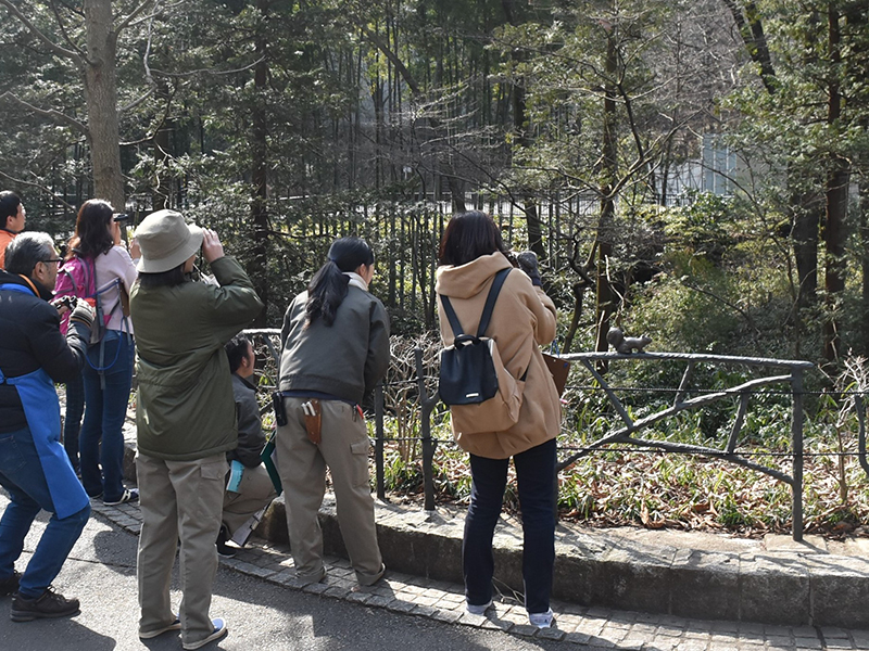 野鳥を探しているようす