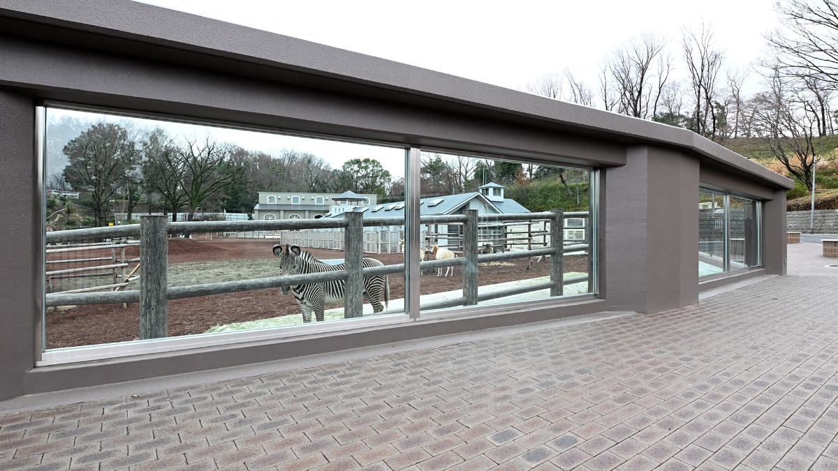 サバンナエリア