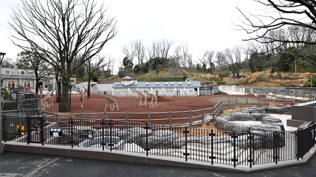 サバンナエリア