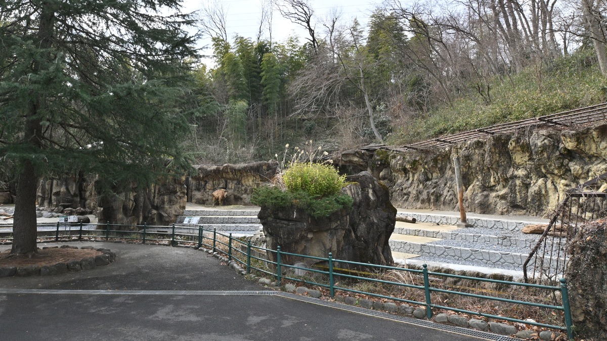 ゴールデンターキン