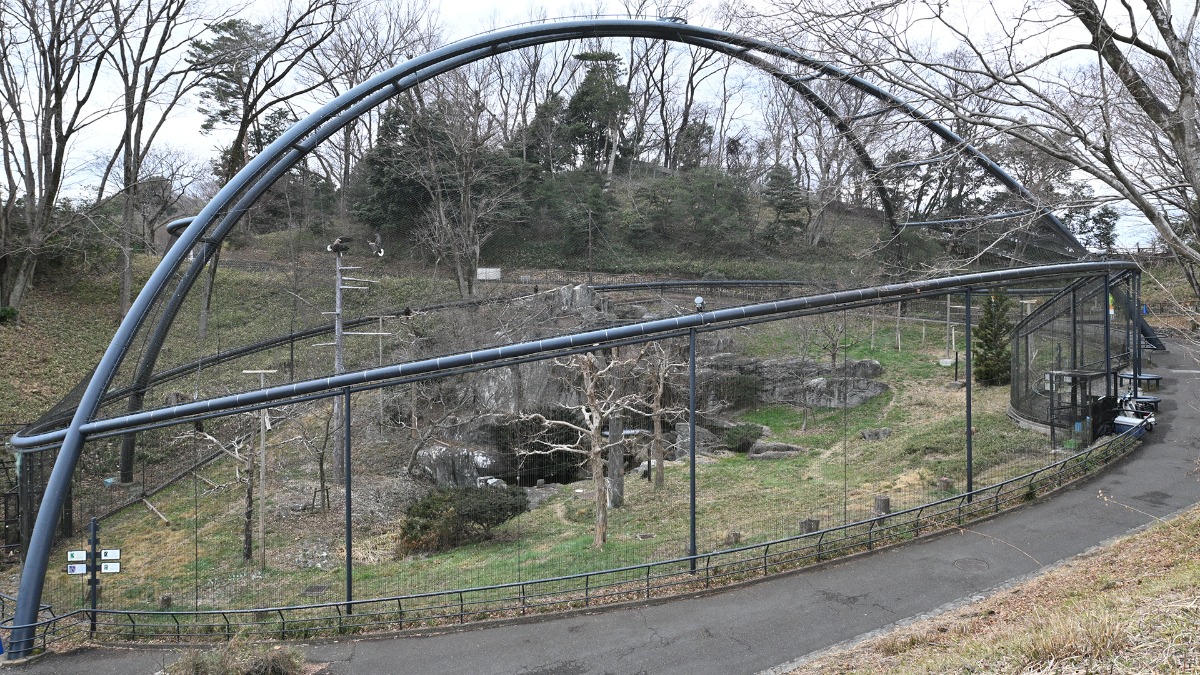 フライングケージ
