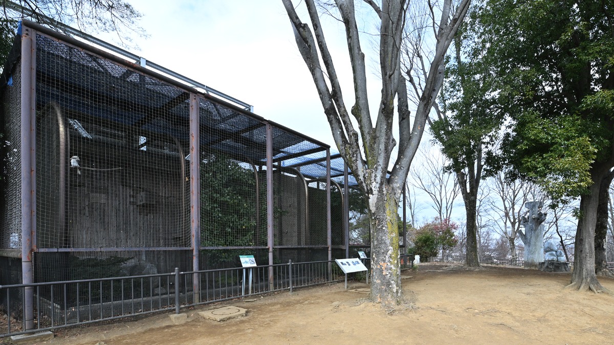 みはらし広場：ワライカワセミ