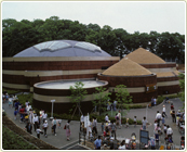 コアラ館オープンでできた行列