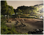 サタデーナイト