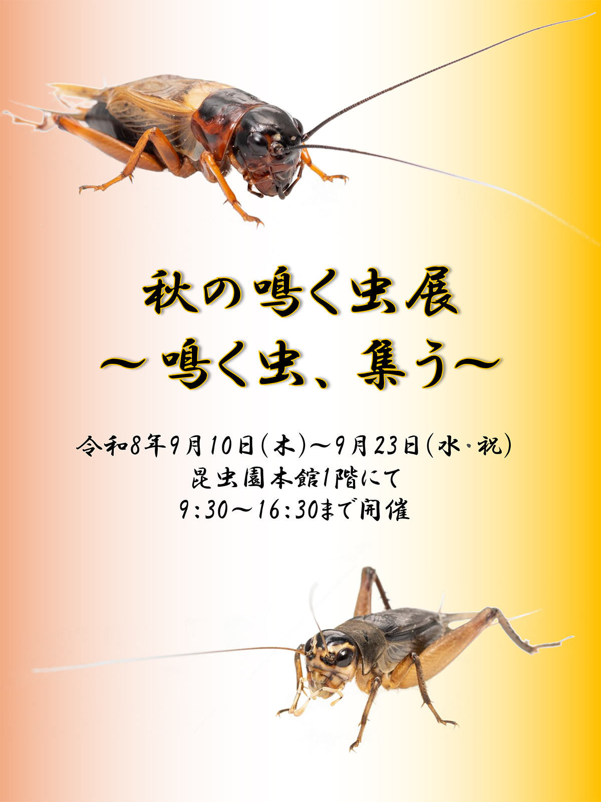告知ポスター