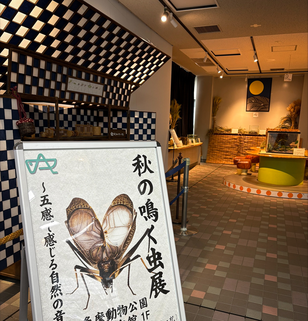 昨年の「秋の鳴く虫展」のようす