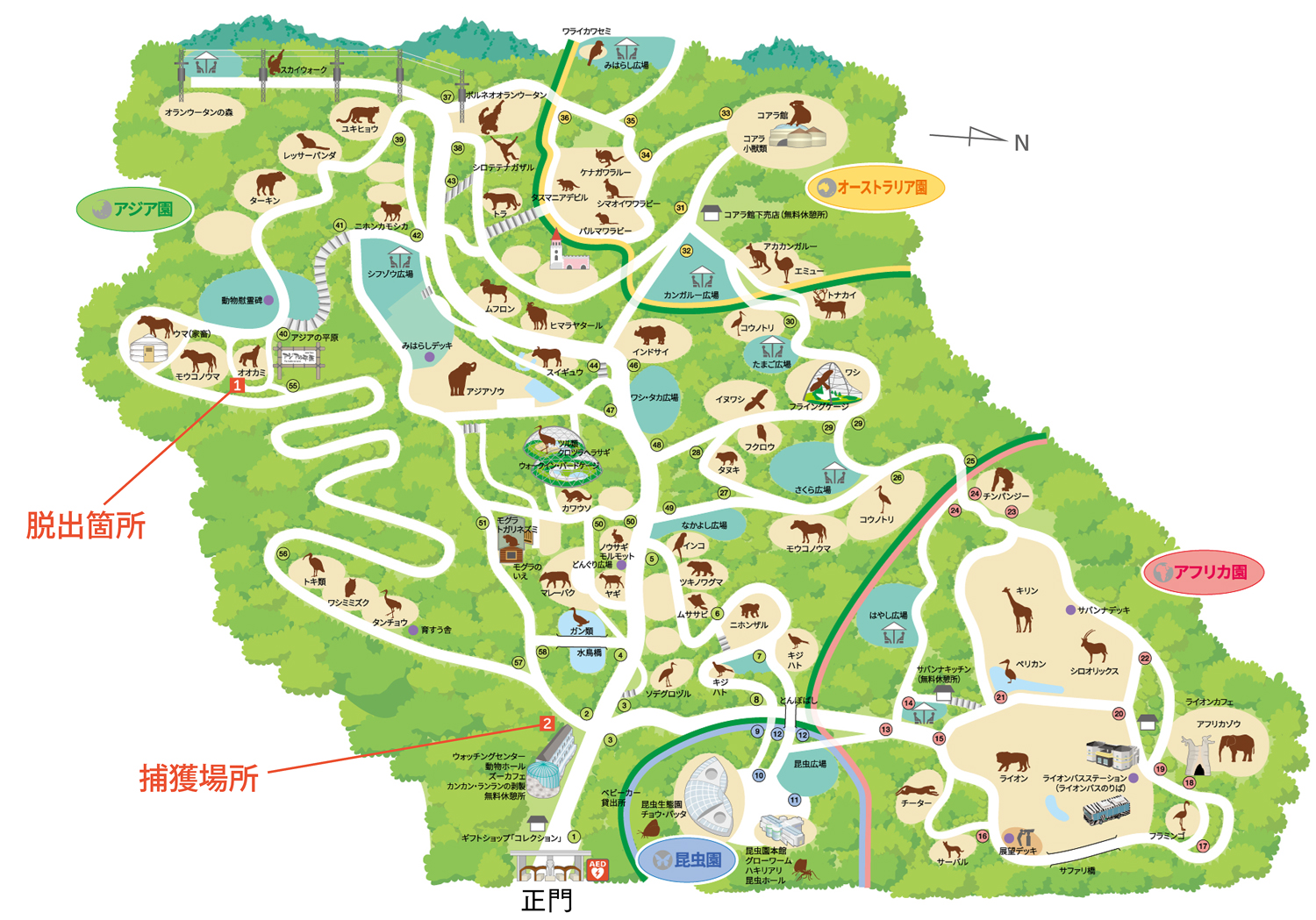 脱出箇所および捕獲場所