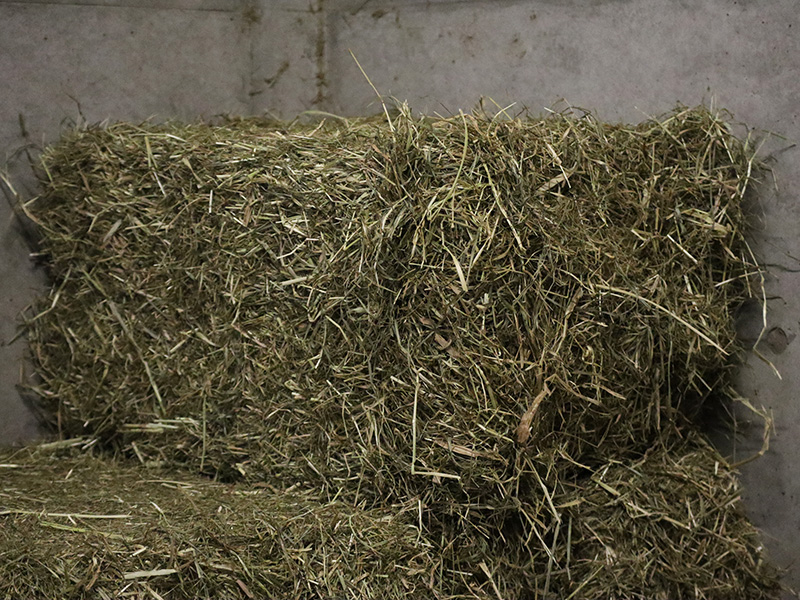チモシーの乾草の束