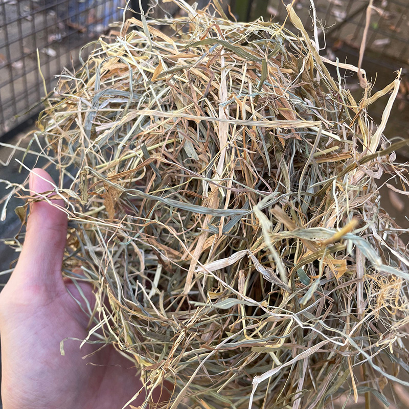 乾草の比較1