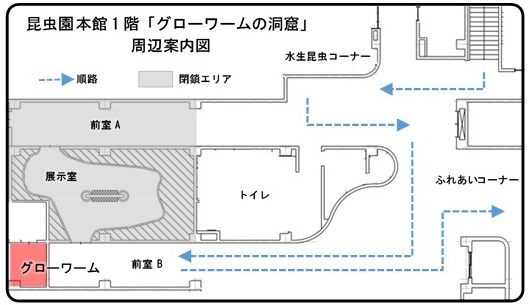 2026年1月29日以降の展示方法