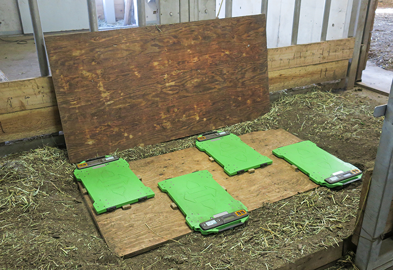 1枚で5,000kgまで測定できる自動車用の重量計