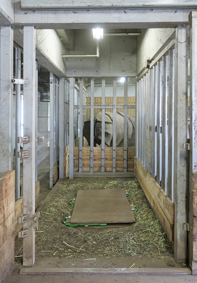 通路に体重計を設置したようす