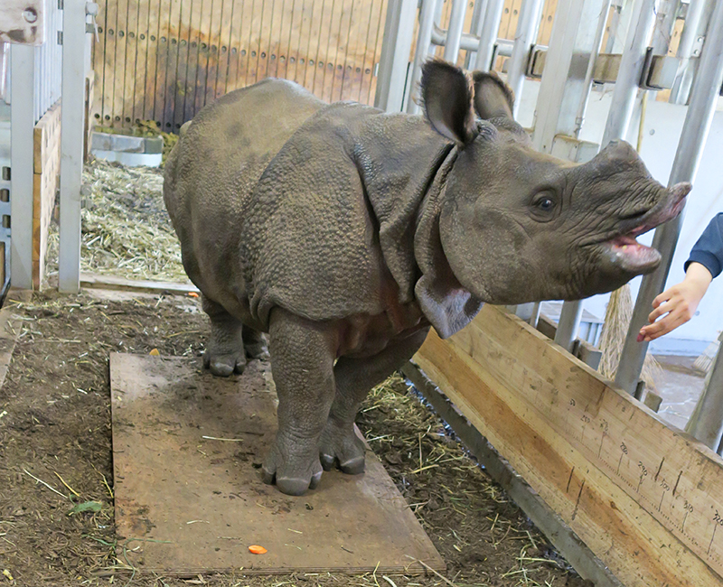体重測定のようす