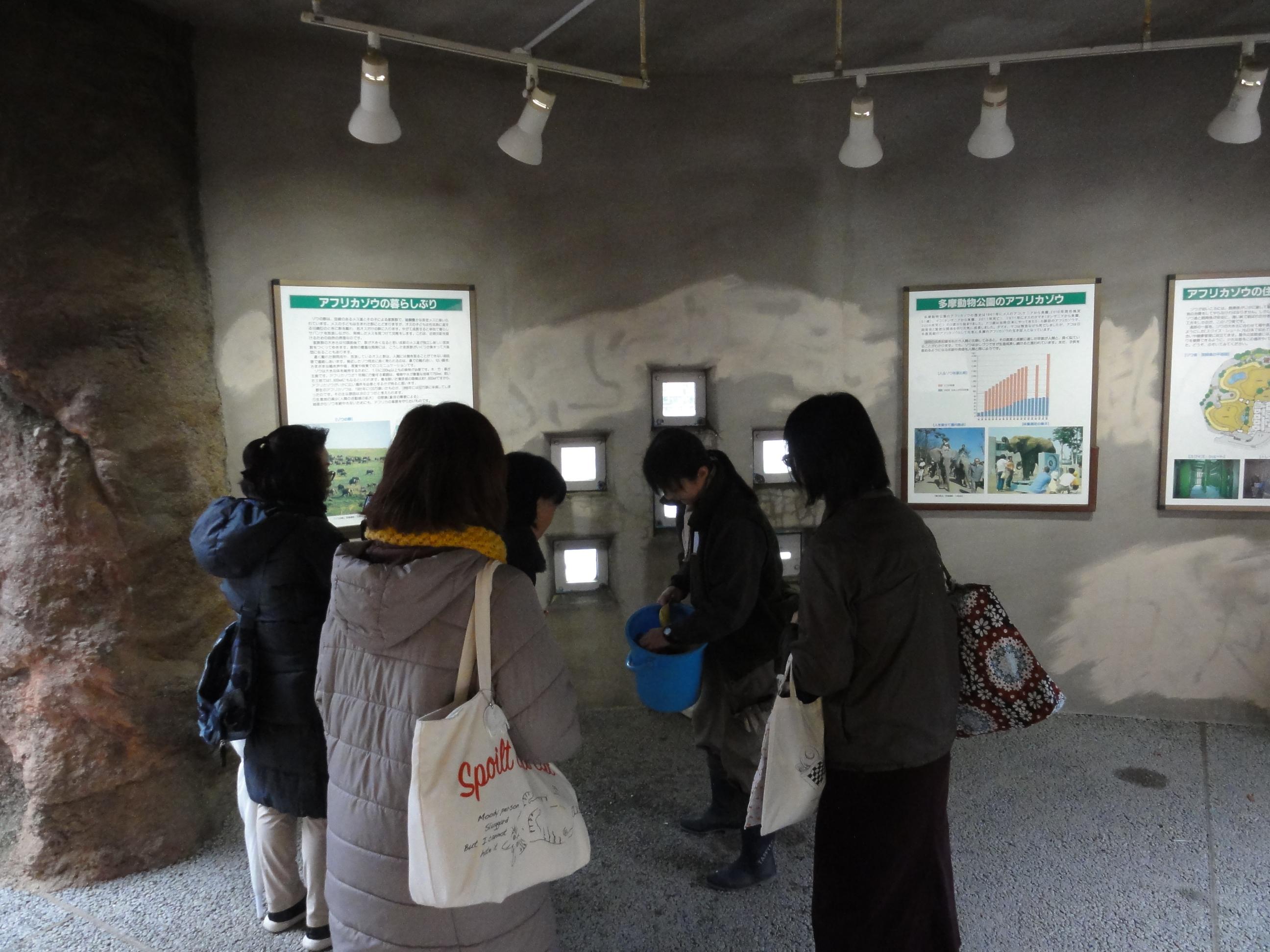 飼育担当者の解説