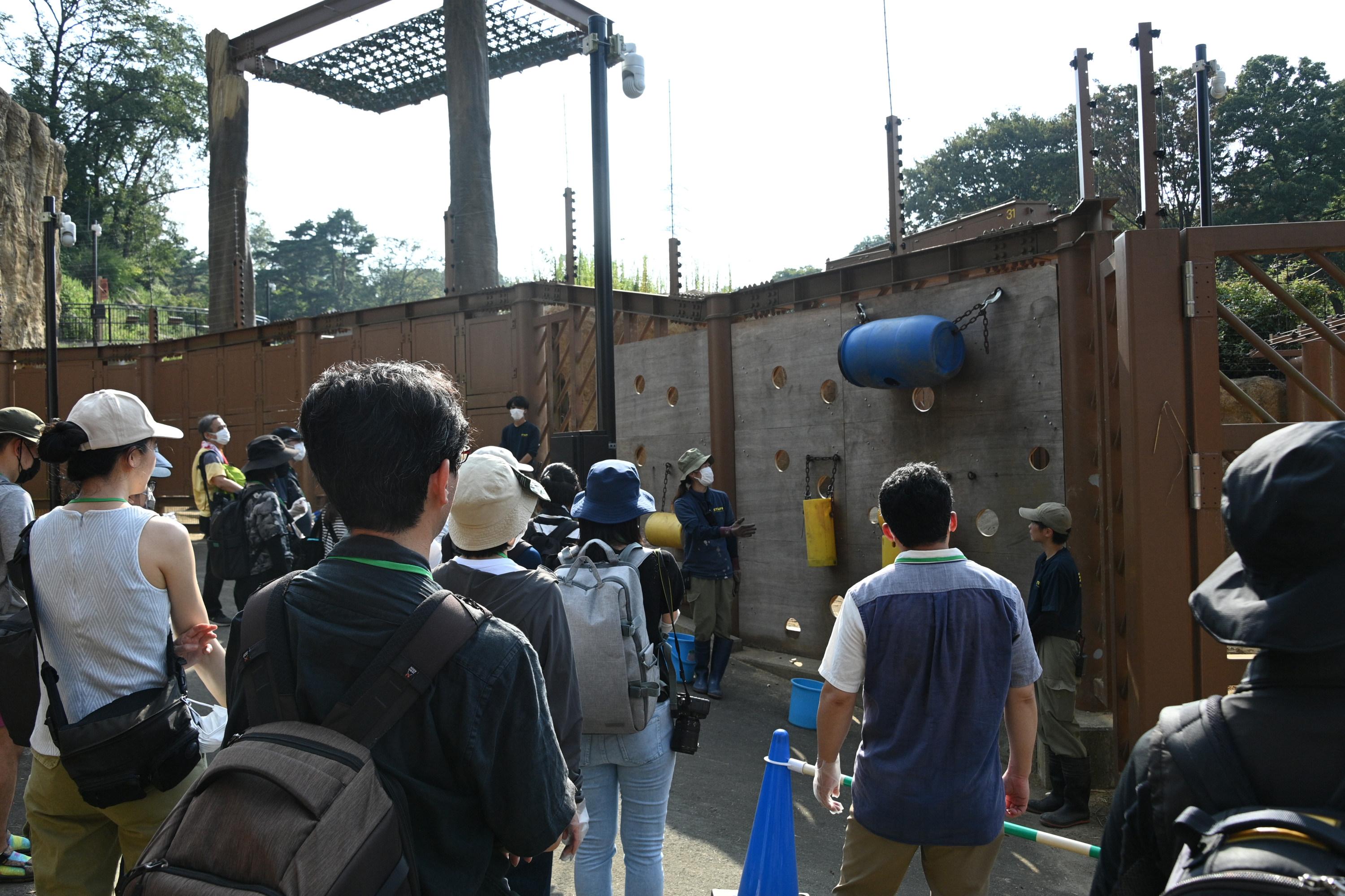 飼育担当者の解説