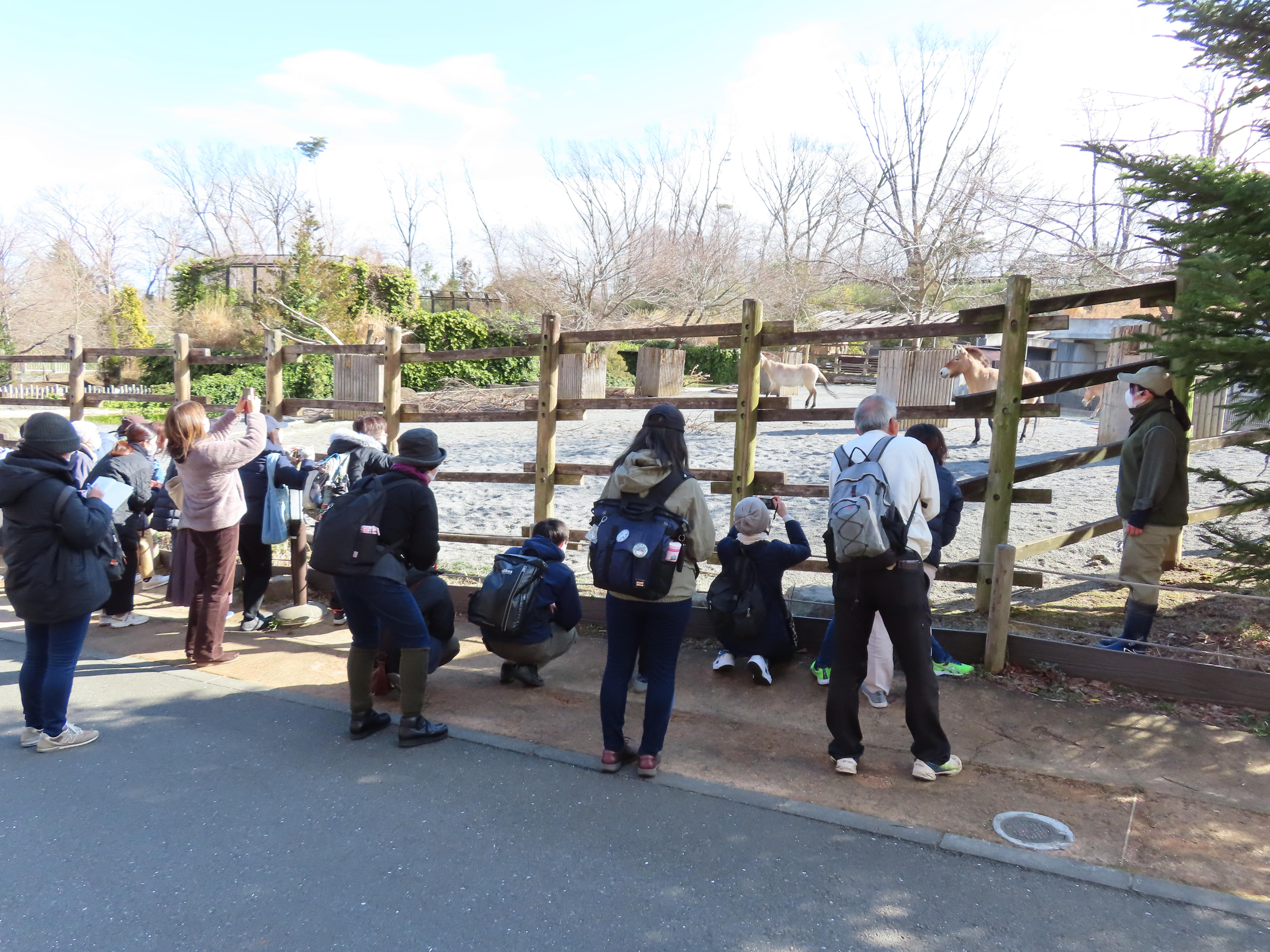 飼育担当者の解説