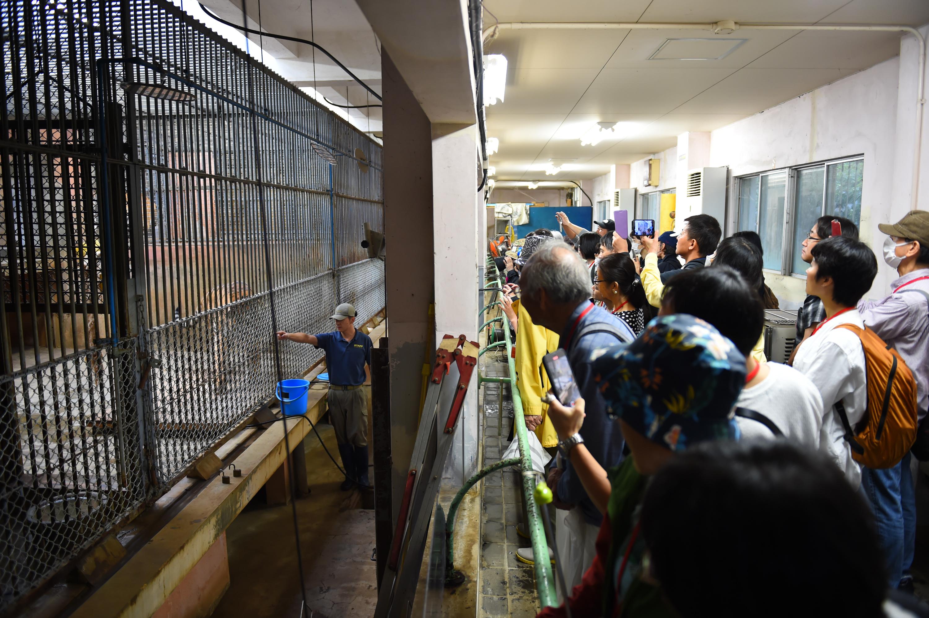 飼育担当者の解説