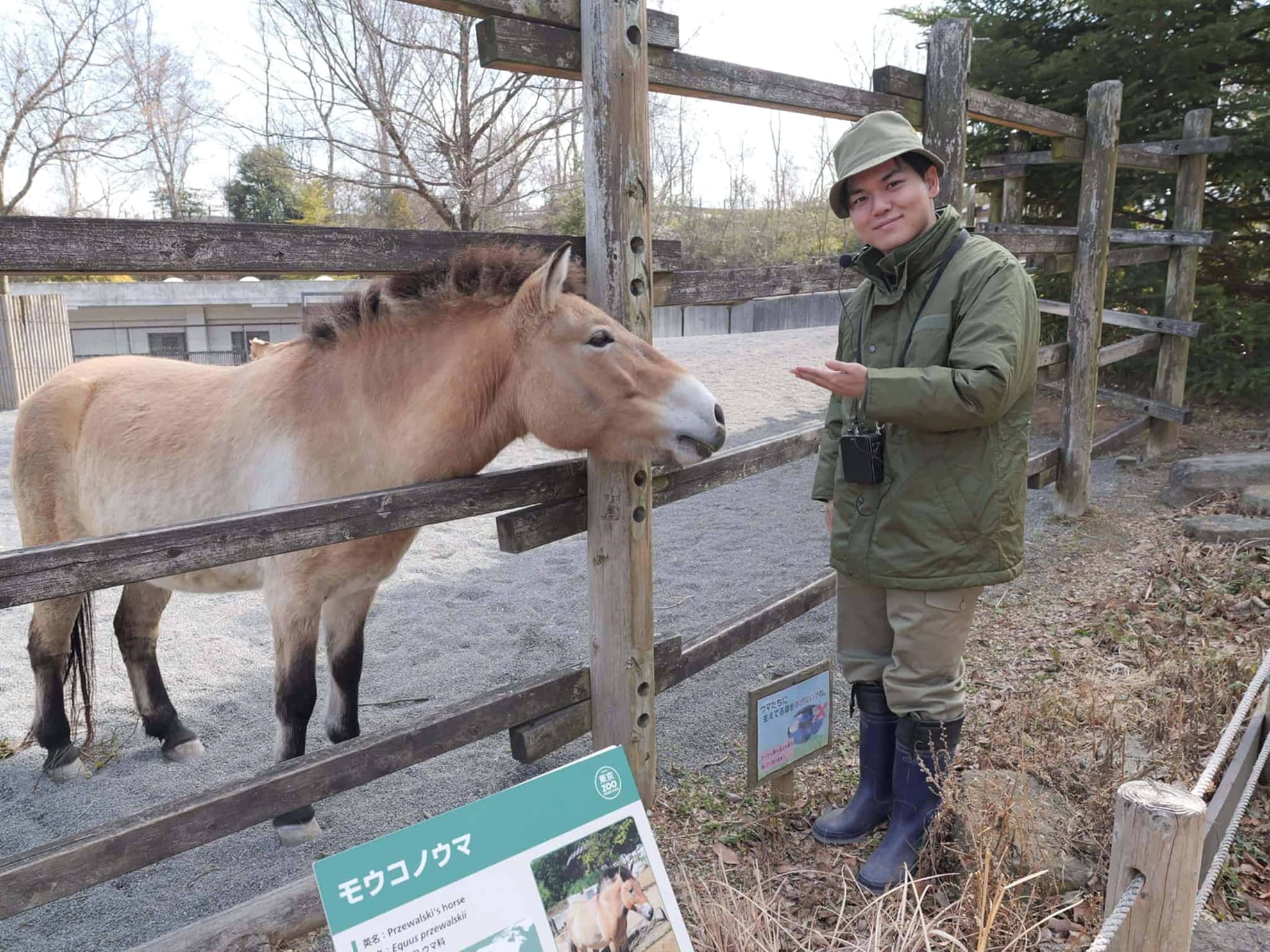 正職員募集（飼育展示部門、獣医師）へのリンク