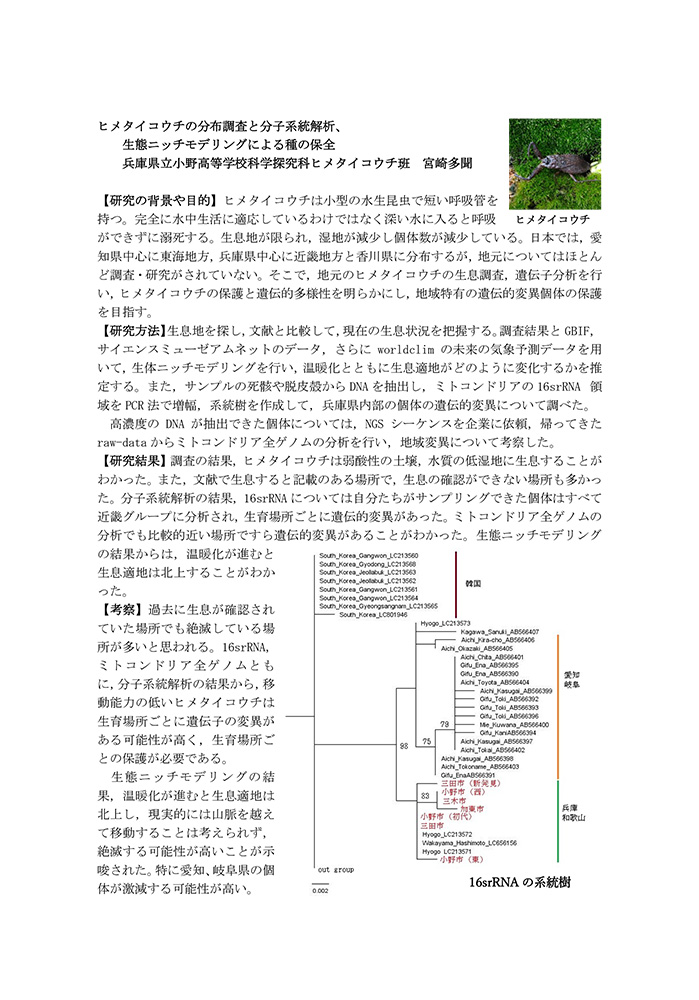 ヒメタイコウチの分布調査と分子系統解析、生態ニッチモデリングによる種の保全