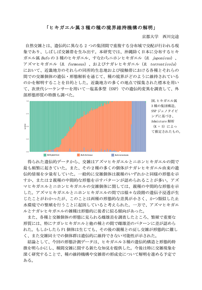 ヒキガエル属３種の種の境界維持機構の解明