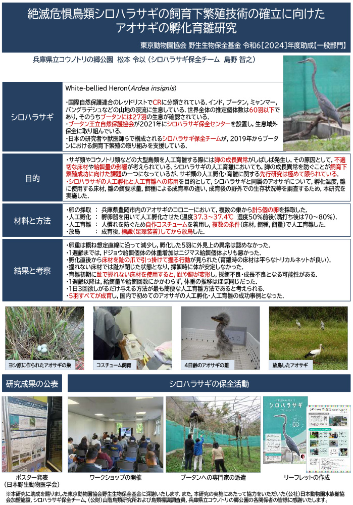 絶滅危惧鳥類シロハラサギの飼育下繁殖技術の確立に向けたアオサギの孵化育雛研究