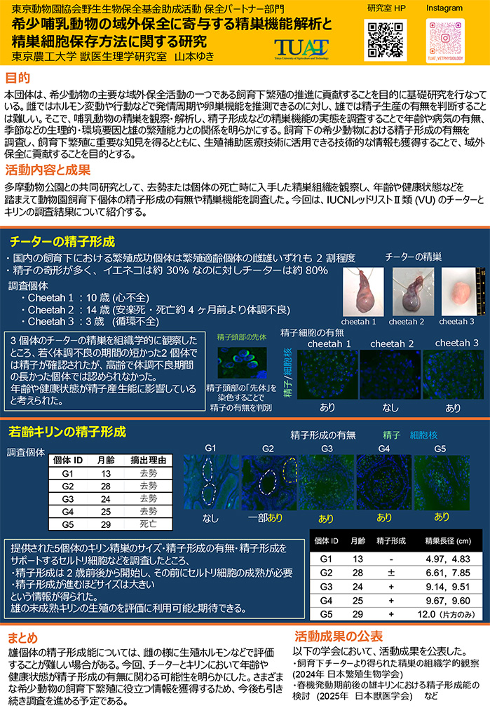 希少哺乳動物の域外保全に寄与する精巣機能解析と精巣細胞保存方法に関する研究