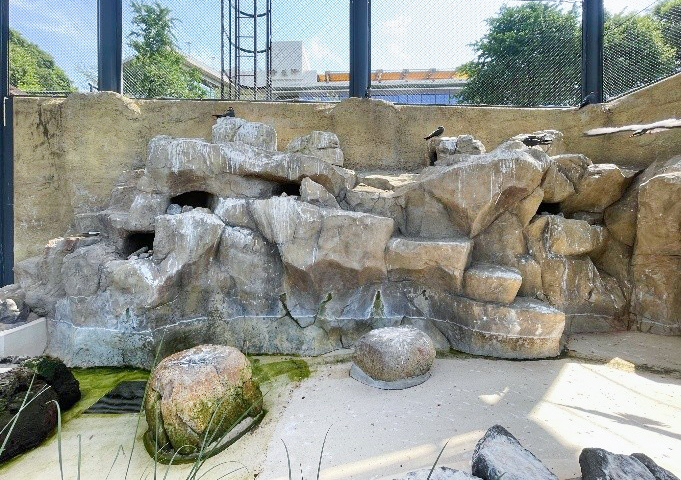 生息地を再現した岩場