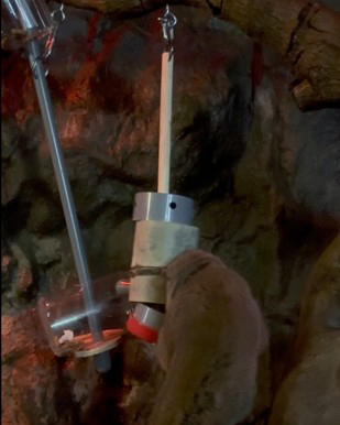 給餌器を使うヨザル