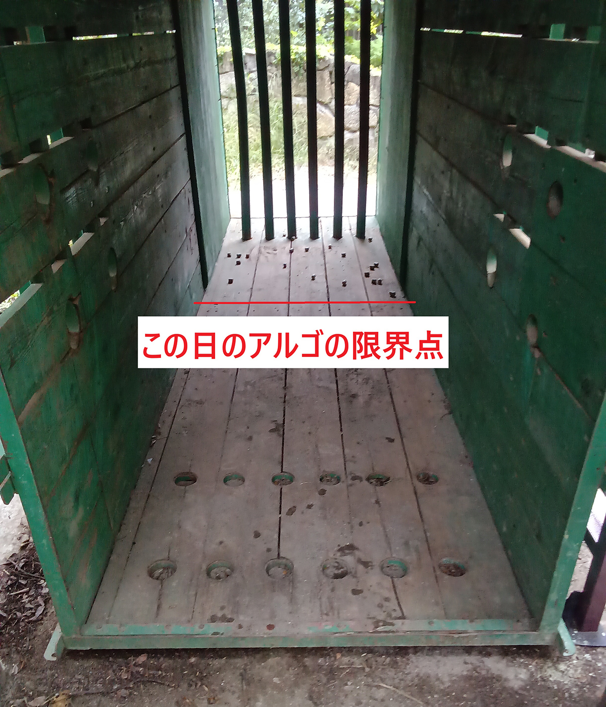 撒き方①の結果