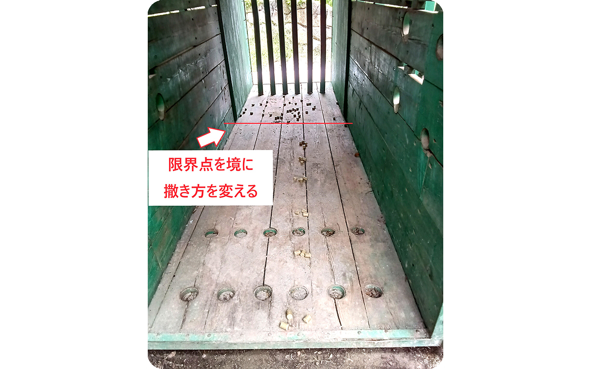 撒き方②　限界点になっている部分までは一直線に、その先は広くランダムに撒く