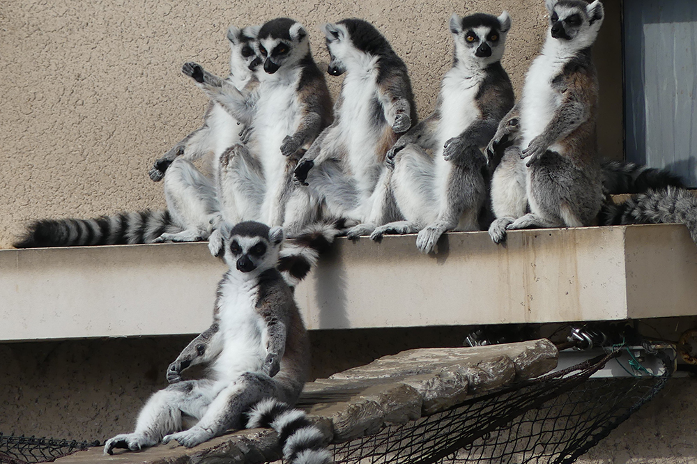 どんな姿勢で休む？