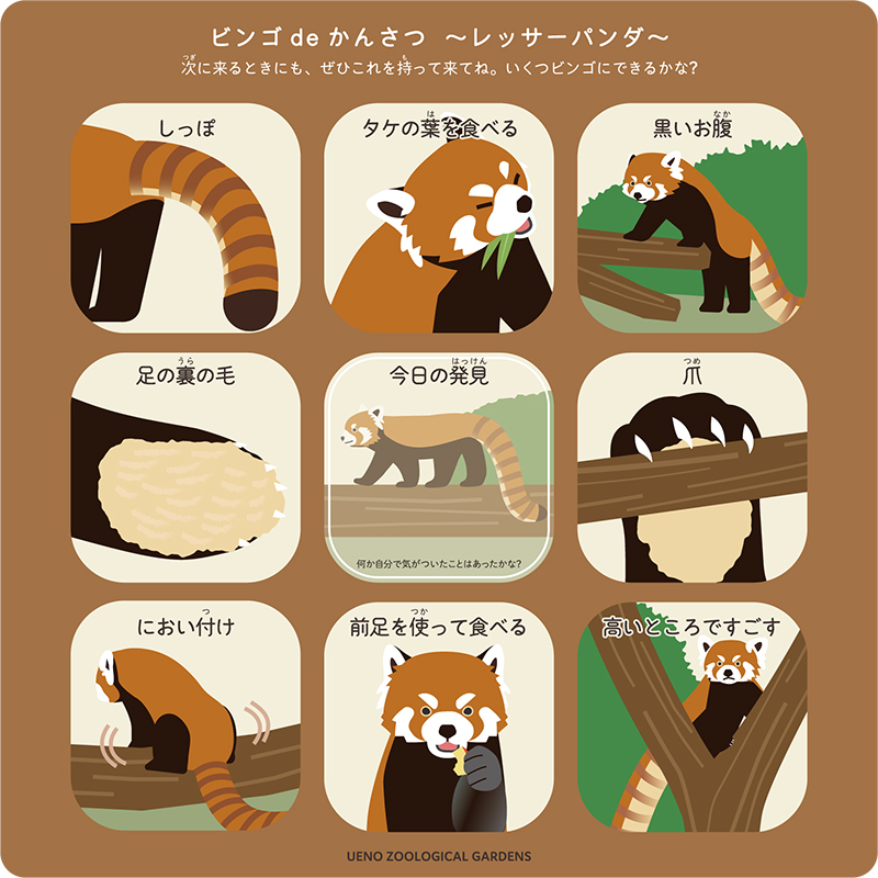レッサーパンダのビンゴカード