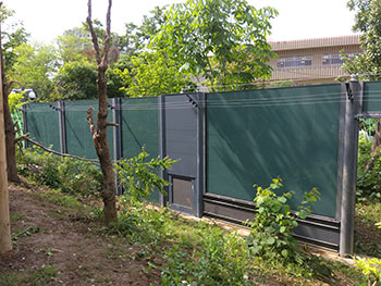 放飼場内ガラス障壁への目隠しシートの貼付け