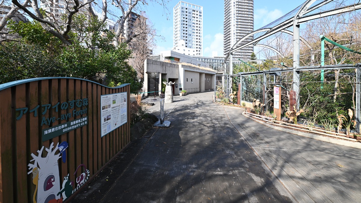 アイアイのすむ森