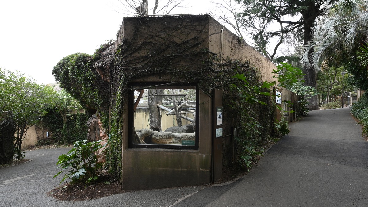コツメカワウソ展示