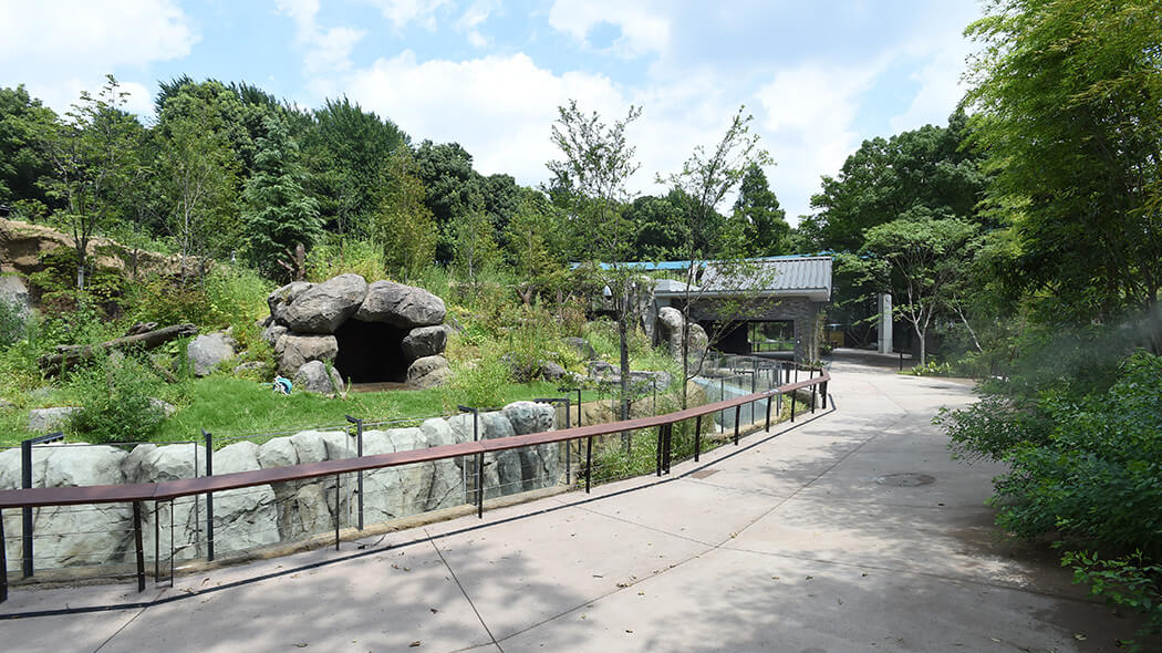 ジャイアントパンダ展示