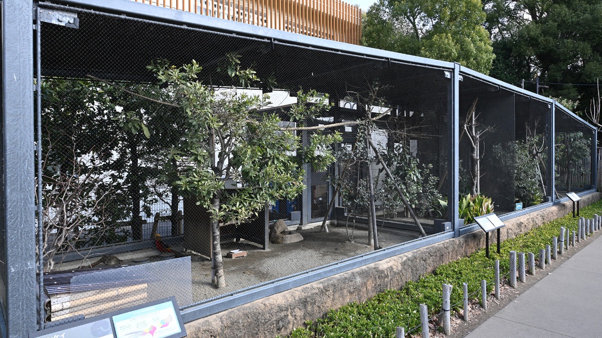 キジ展示