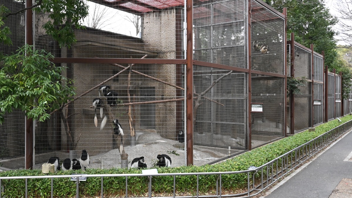 世界のサル展示