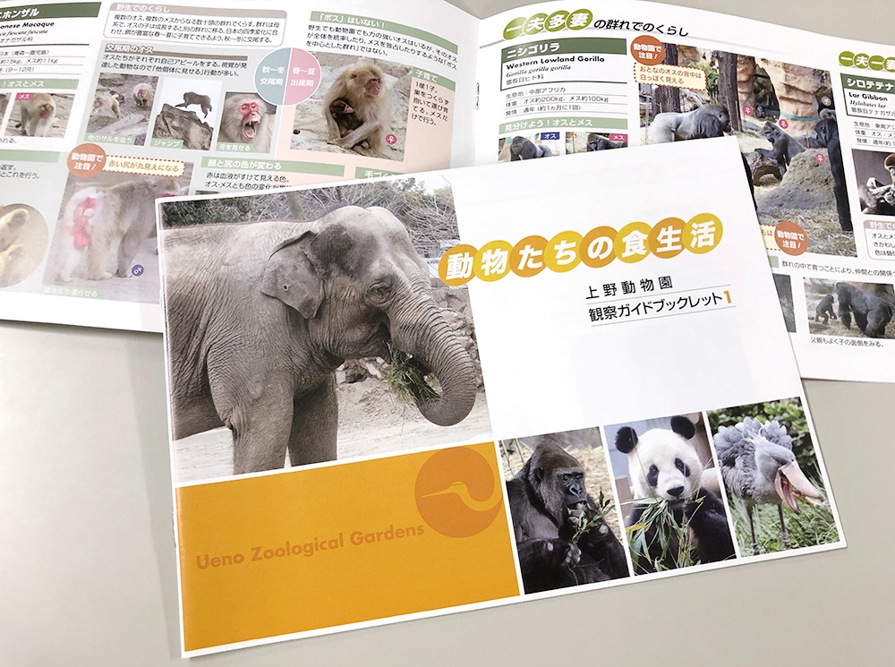 観察ガイドブックレット「動物たちの食生活」「オスとメスのふしぎ」